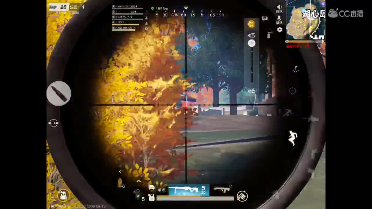 哈喽