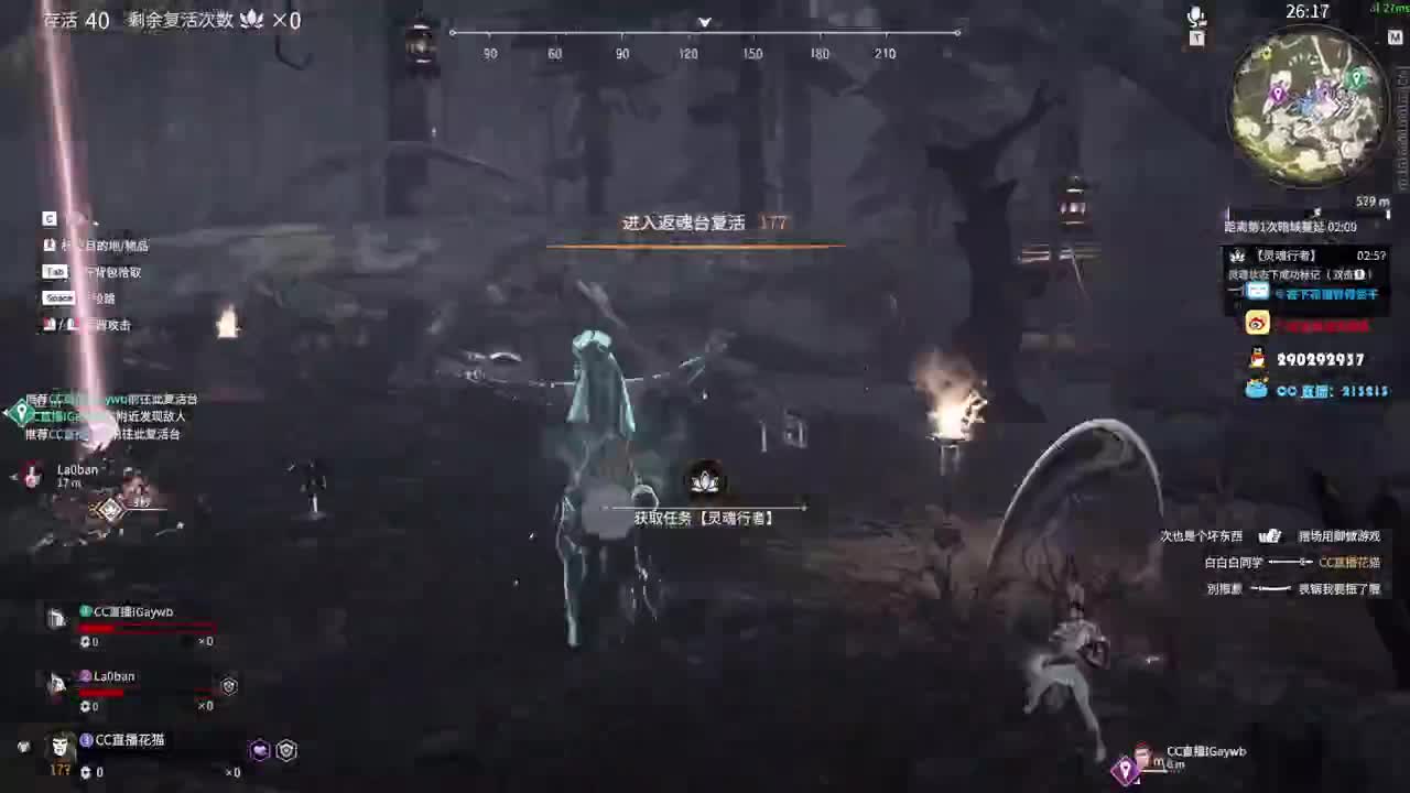 我就是雾海龙猫