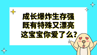 梦幻西游：成长爆炸生存强，既有特殊又漂亮，这宝宝你爱了么？