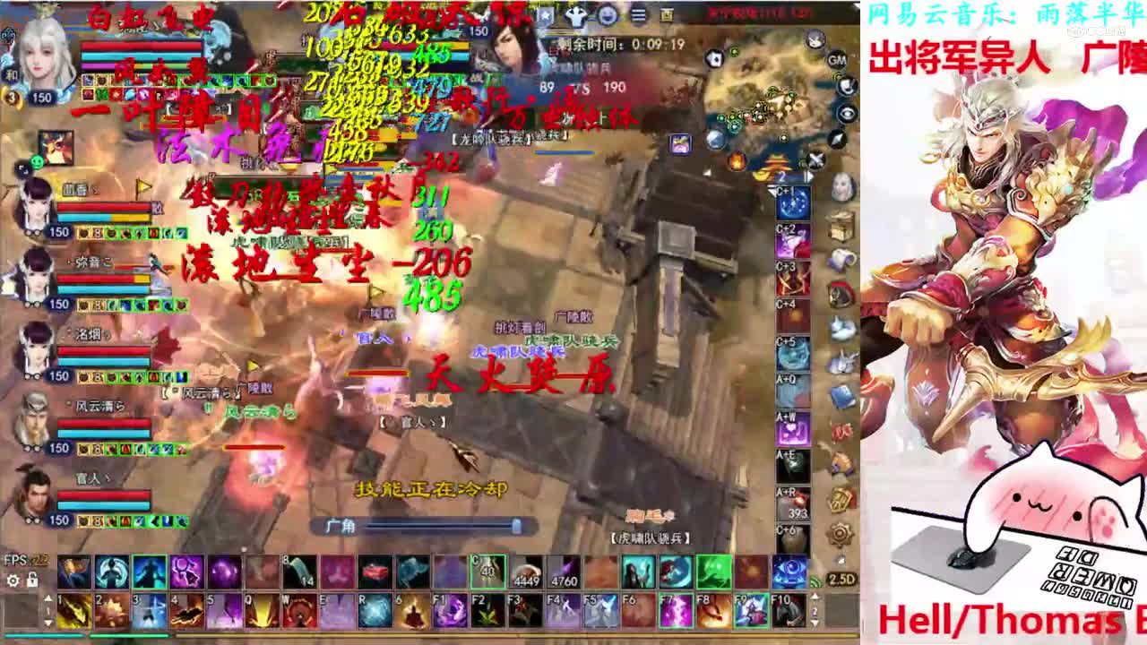 菊花150司星2