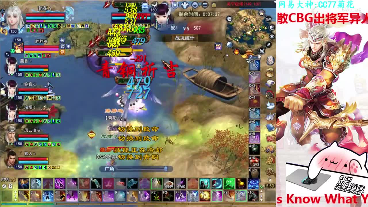 菊花150司星2