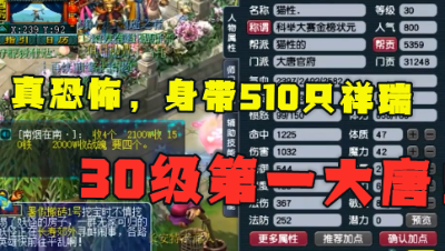 梦幻西游：令人恐怖的“30级第一大唐”，510个祥瑞，科举状元！