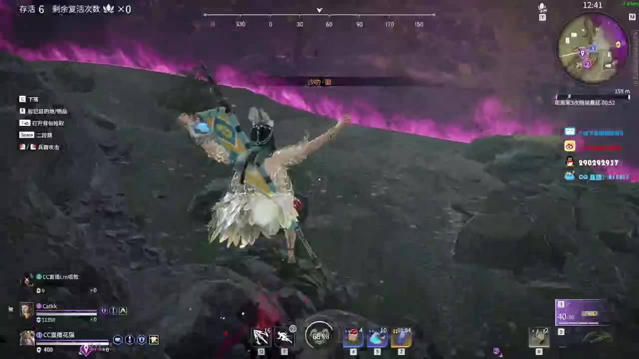 我就是雾海龙猫