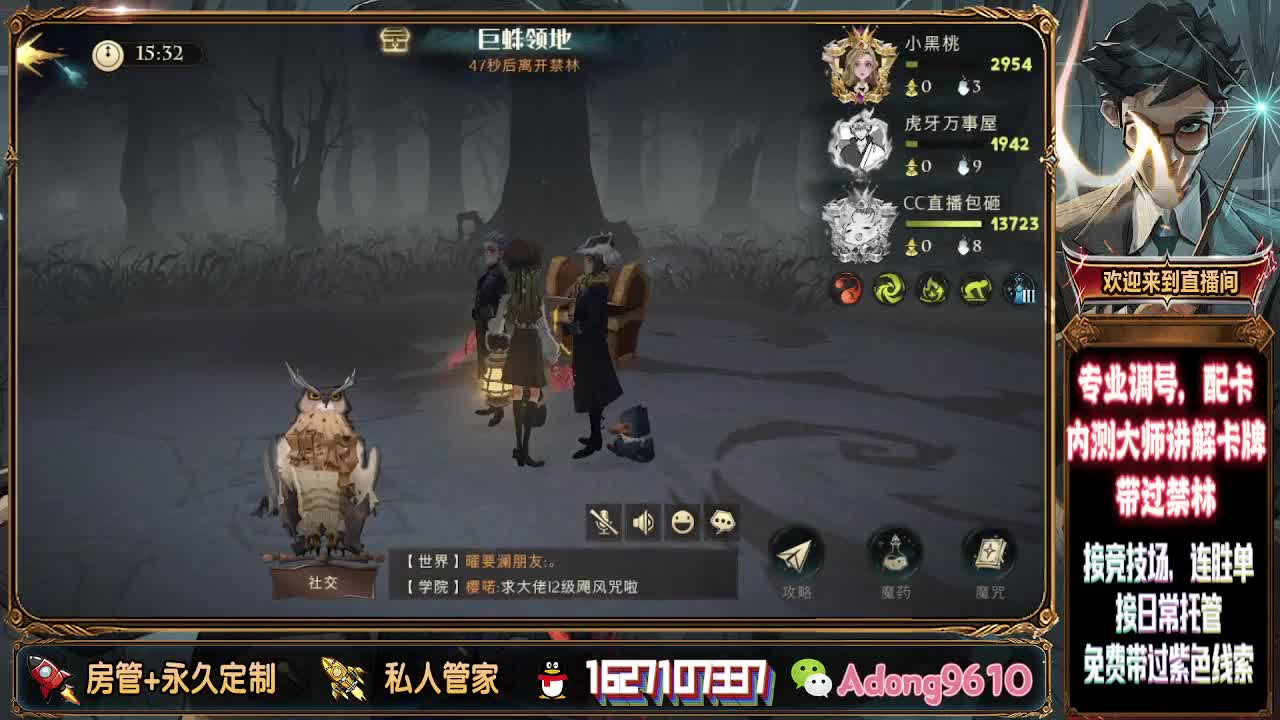 专业配卡，上分托管！ 第1段