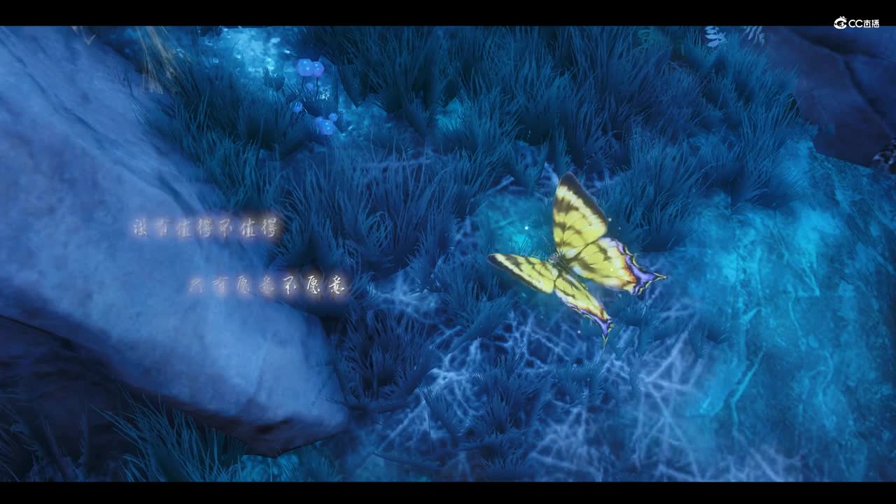 没有值得不值得