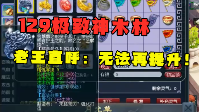 梦幻西游：充了钱不讲理，老王直呼：这号太会搭配，无法再提升！