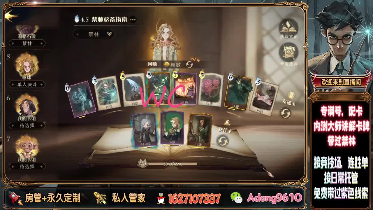 专业配卡，上分托管！ 第2段