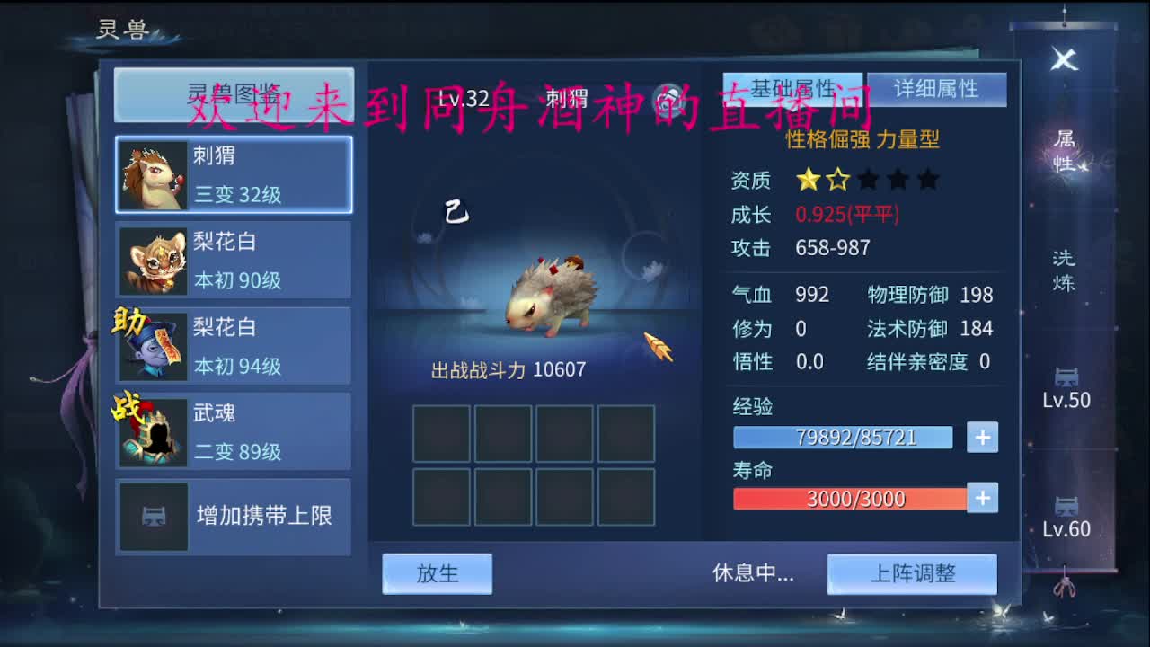 新区升级，托管打造，指挥