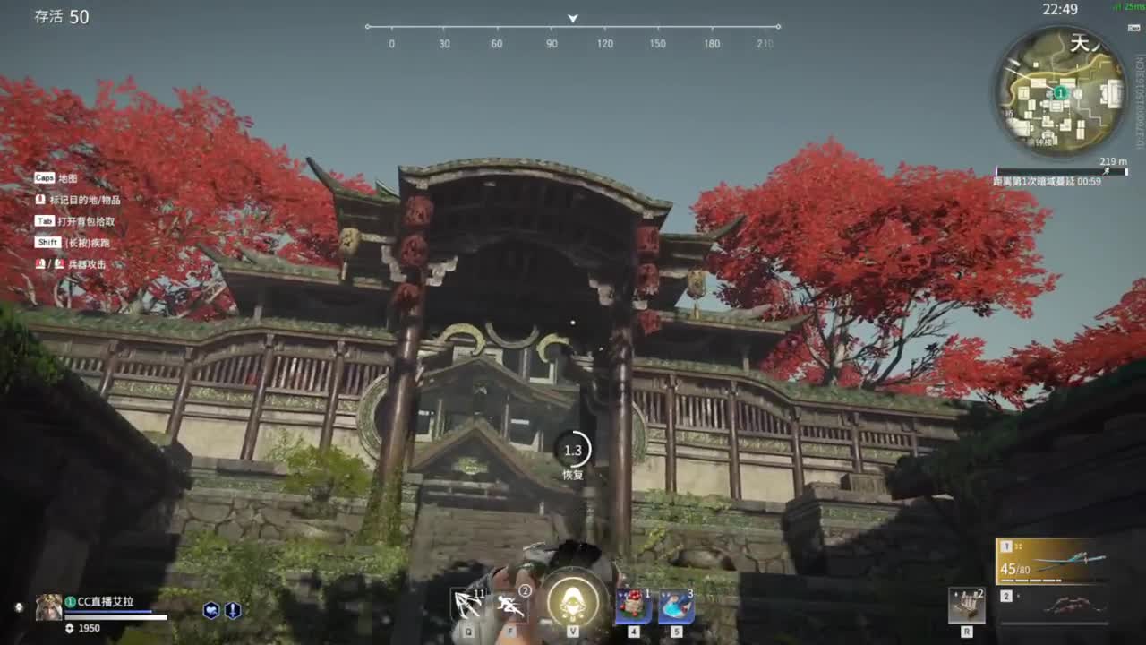 【艾拉】：黑夜的折磨！