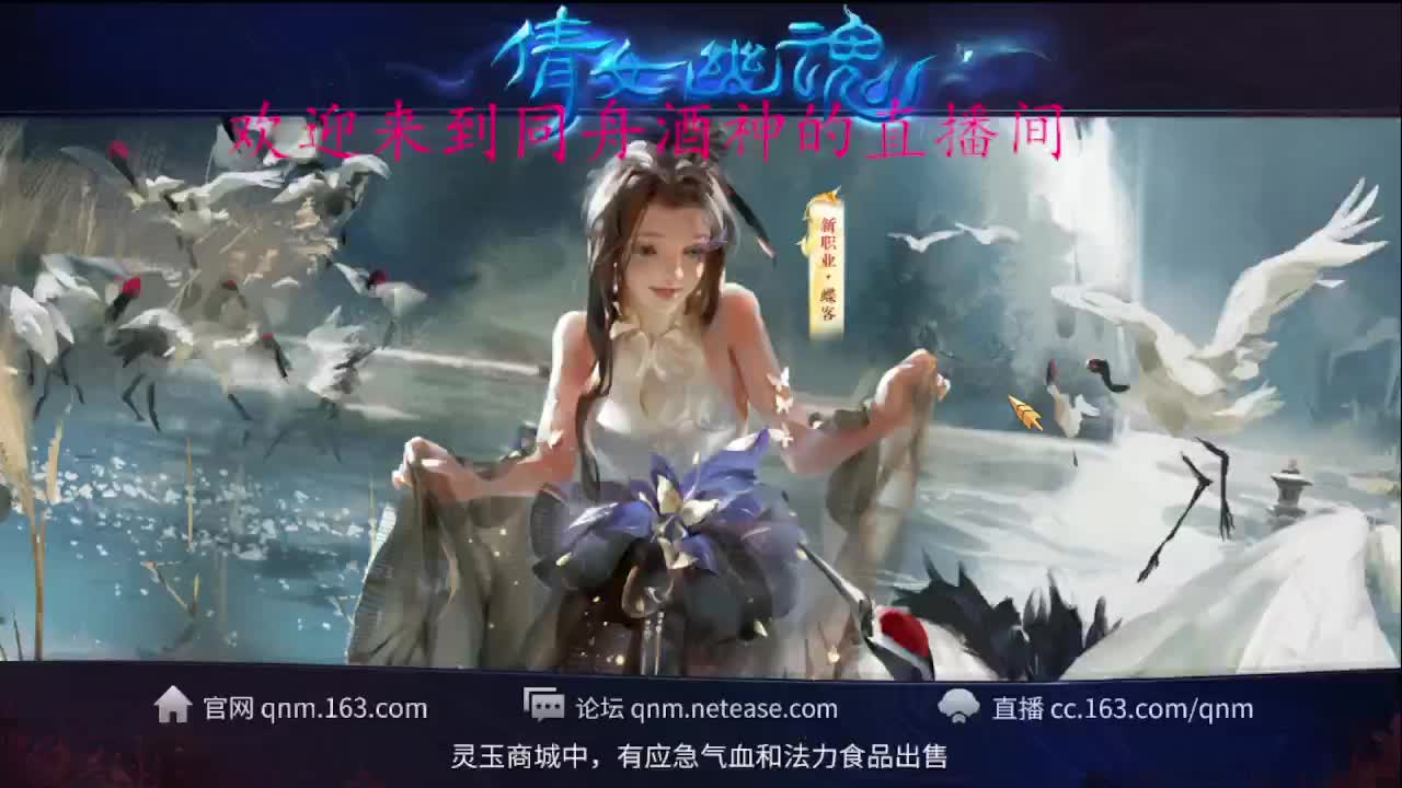 新区升级，托管打造，指挥