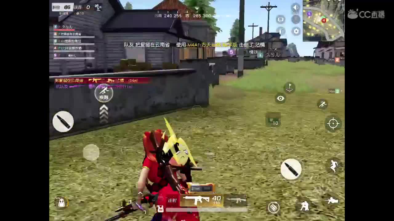 皮皮桃