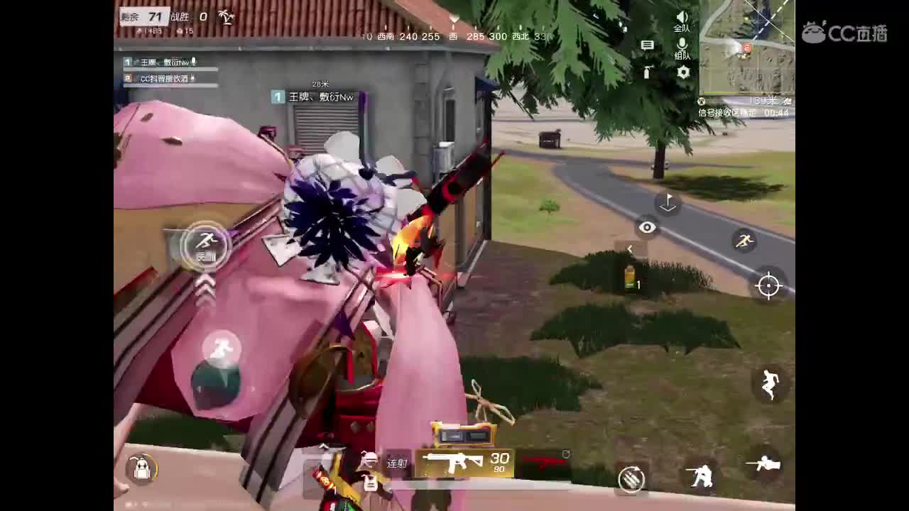 皮皮桃
