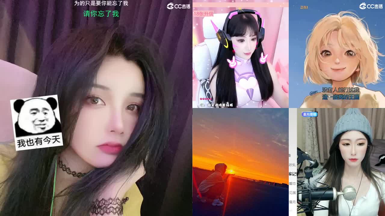 唱歌的勇武菜猪！！！！