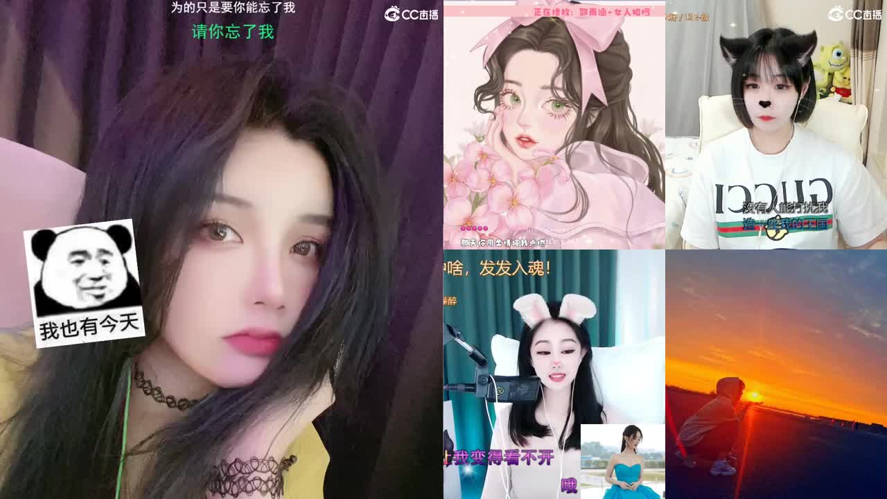 唱歌的勇武菜猪！！！！