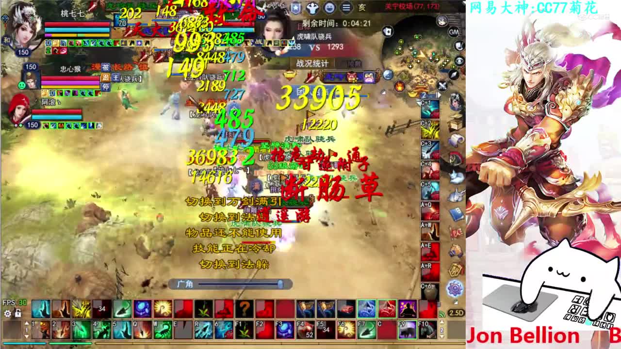 菊花150射手2