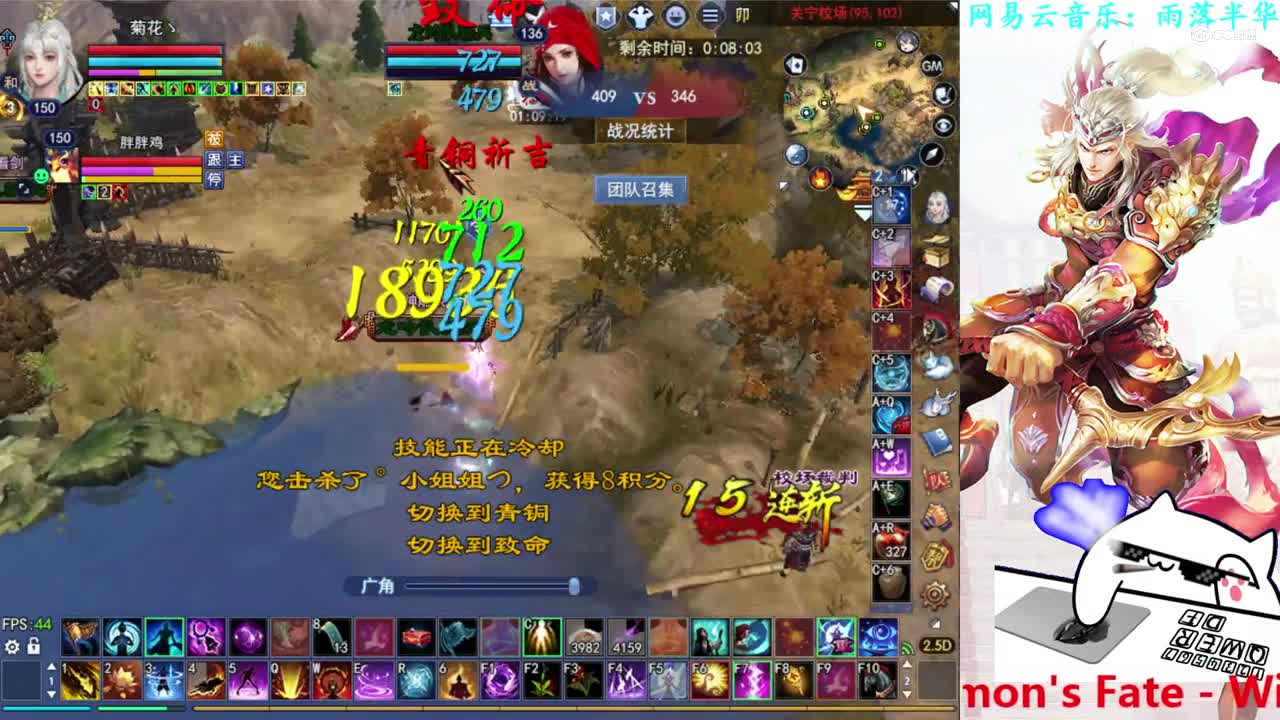 菊花150司星