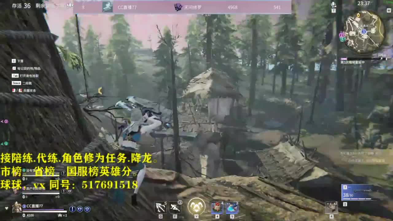 多测前10接陪链，带链.修为任务.图龙,角色分. 第1段