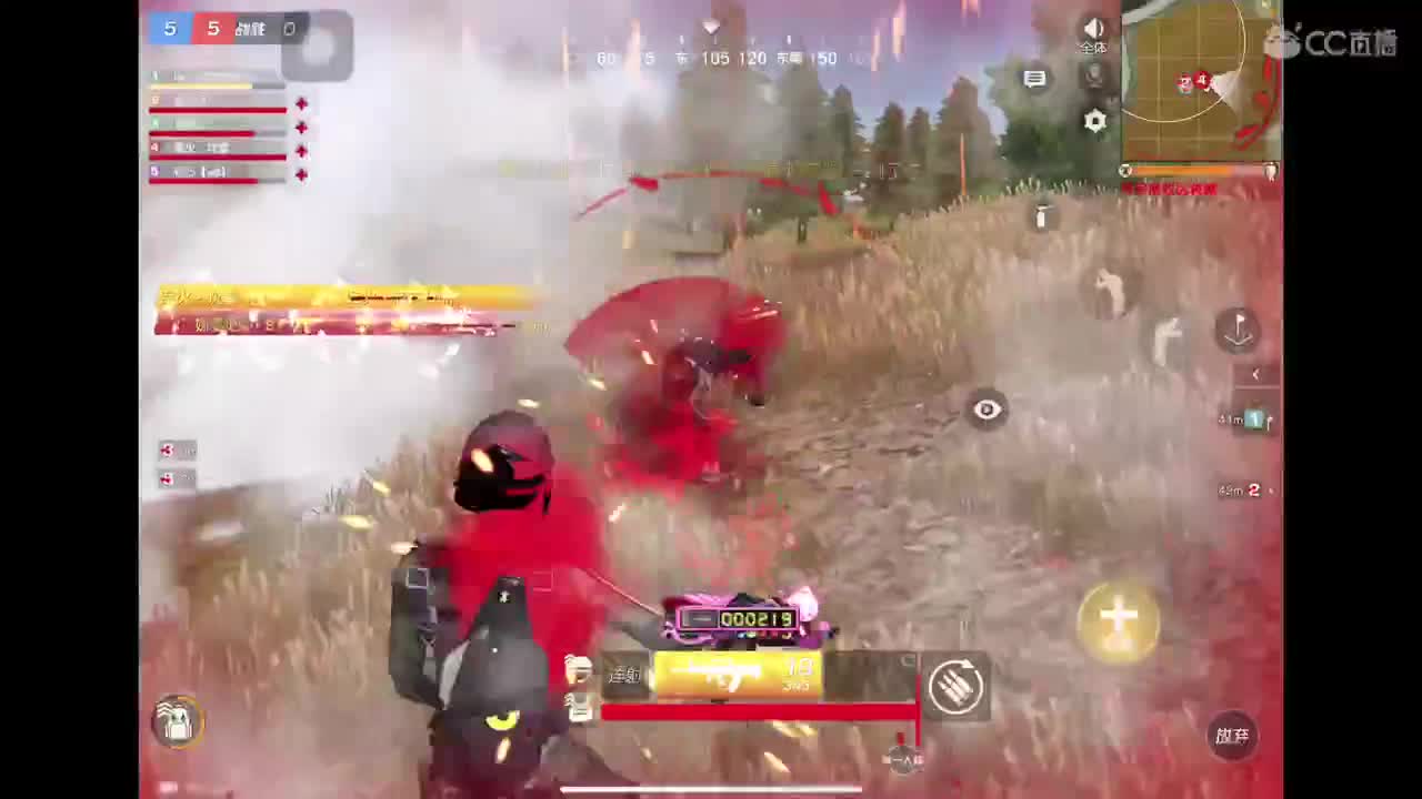 Cpdd 第1段