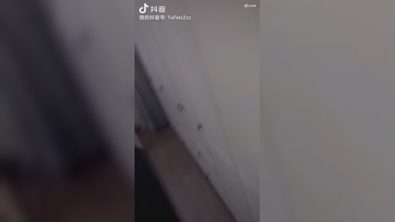 你是我的单曲循环，我是你的随机播放