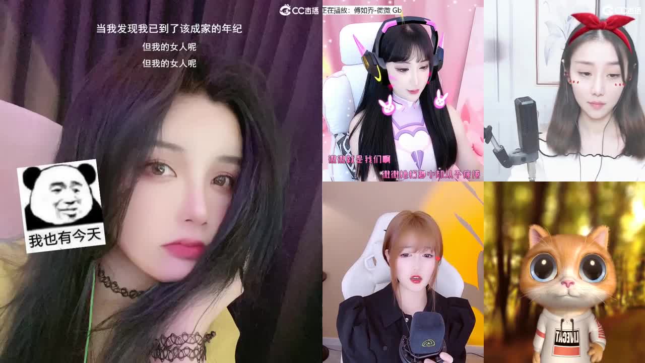 唱歌的勇武菜猪！！！！