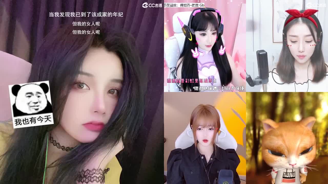 唱歌的勇武菜猪！！！！