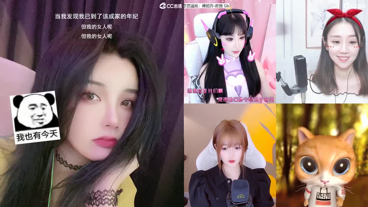 唱歌的勇武菜猪！！！！