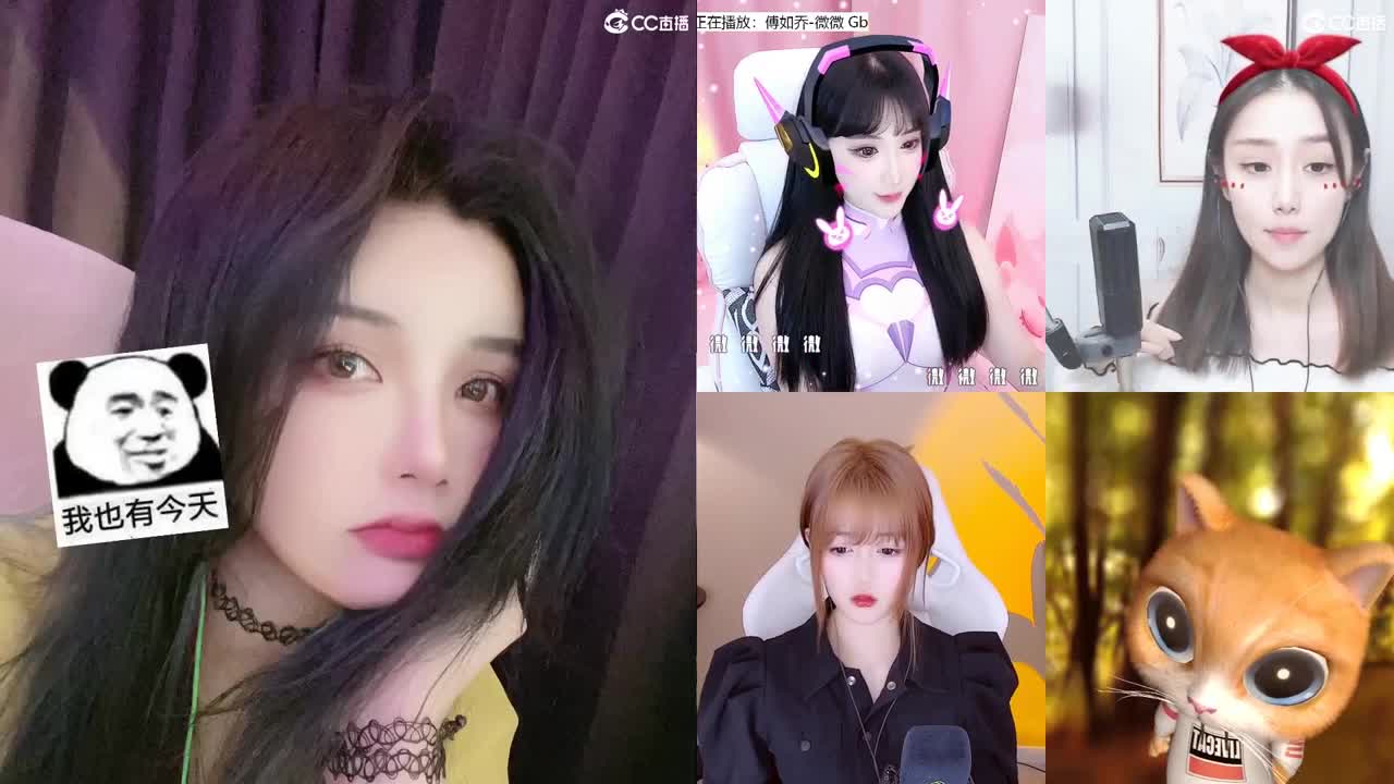 唱歌的勇武菜猪！！！！