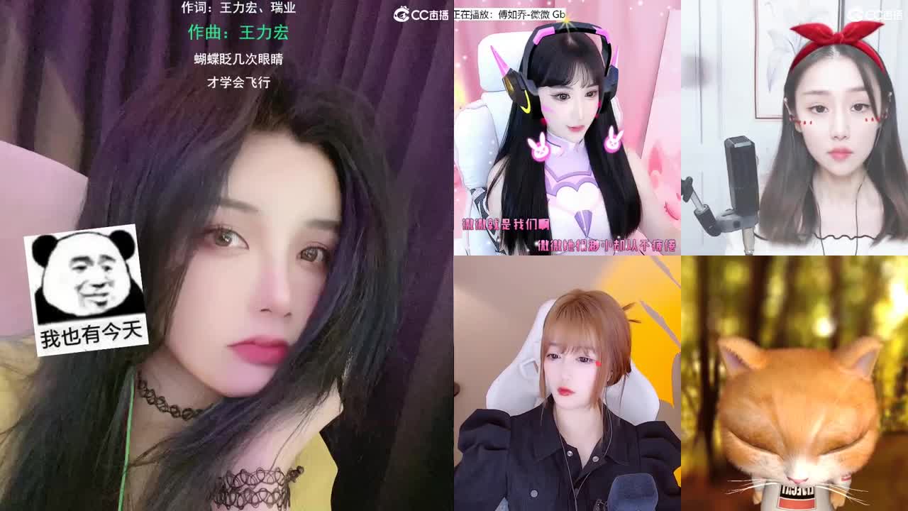 唱歌的勇武菜猪！！！！