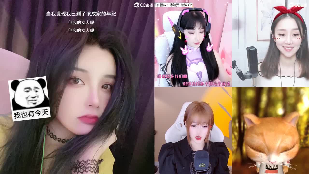唱歌的勇武菜猪！！！！