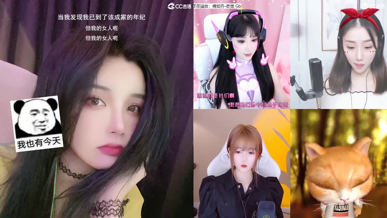 唱歌的勇武菜猪！！！！