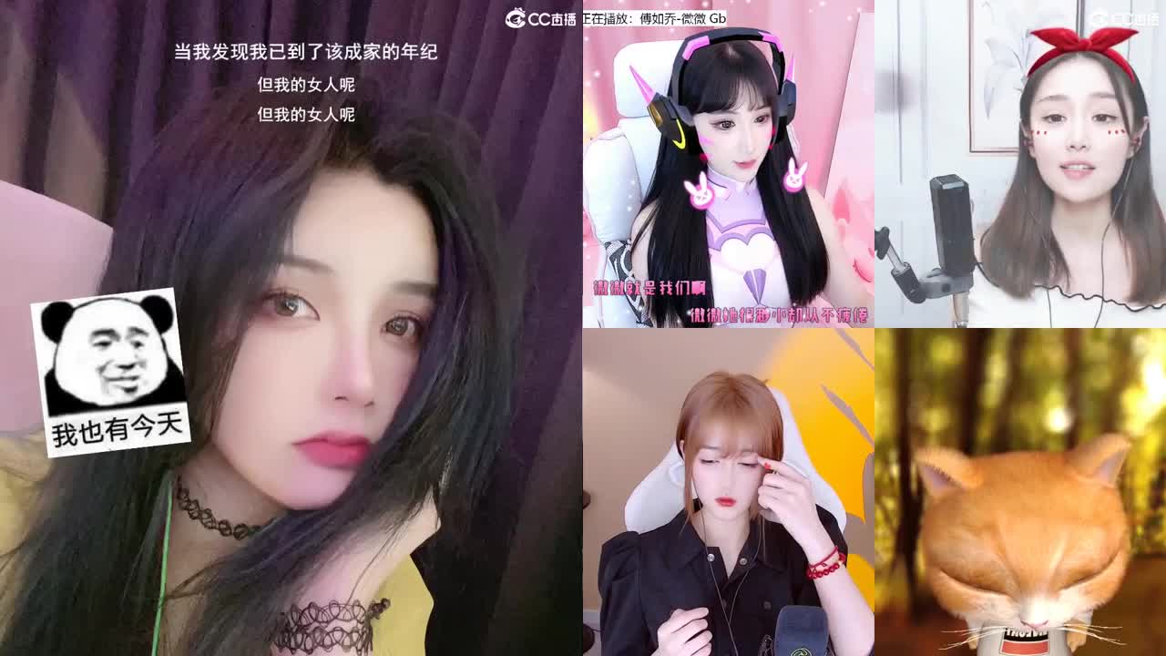 唱歌的勇武菜猪！！！！ 第1段