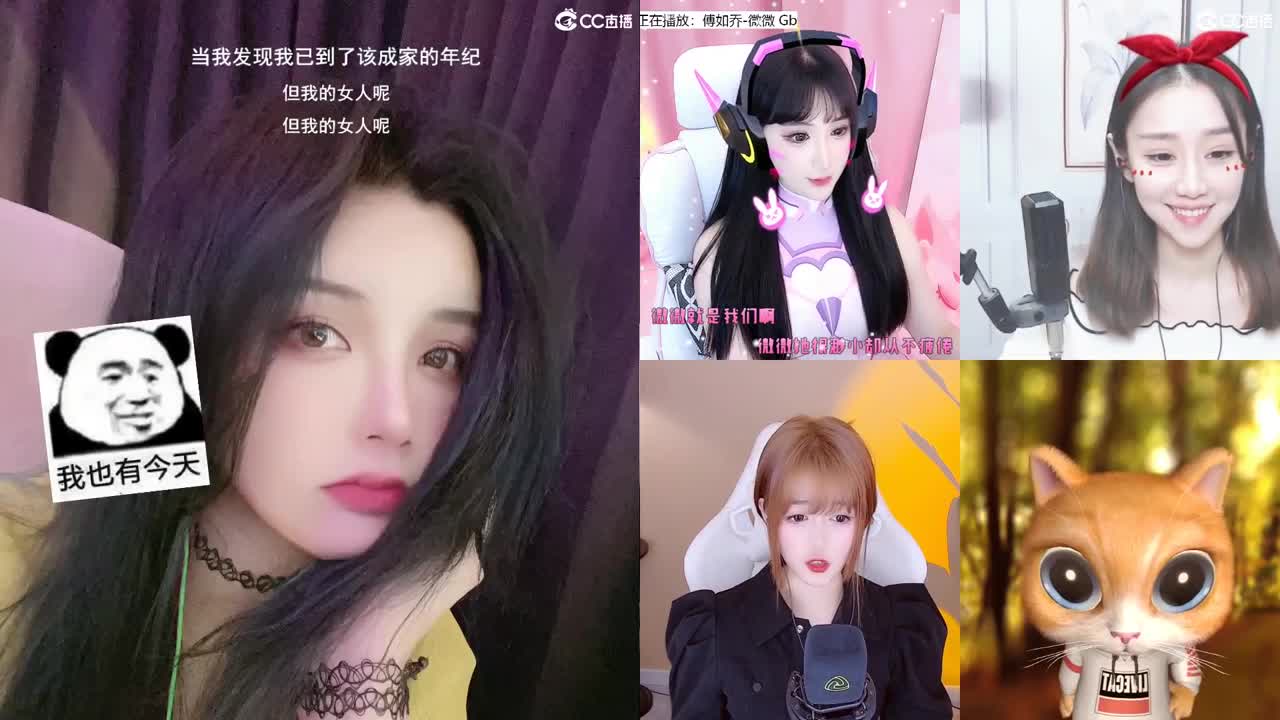 唱歌的勇武菜猪！！！！