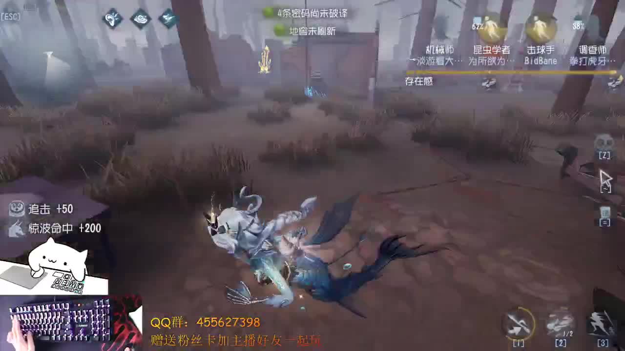 鸽子咕咕咕