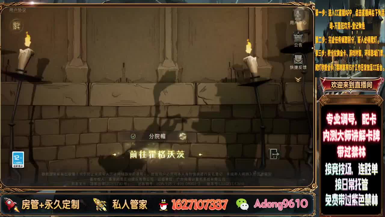 专业托管上分连胜~ 第1段