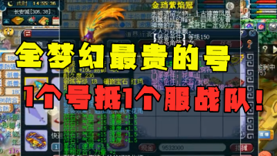 梦幻西游：全梦幻最贵的号，一个号抵一个服战队，老王大喊：别举报！
