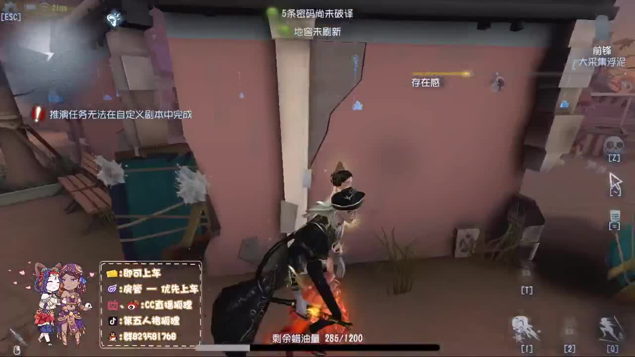 职业选手狐狸