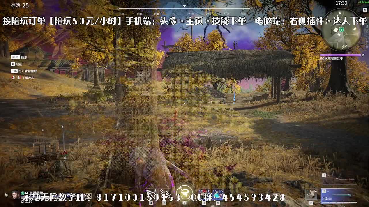 精调做号/深度清魂/托管 第2段