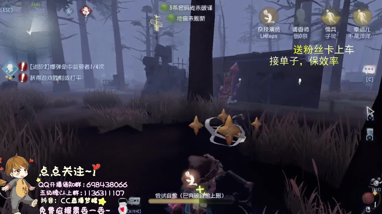 关注主播.不宜走丢.