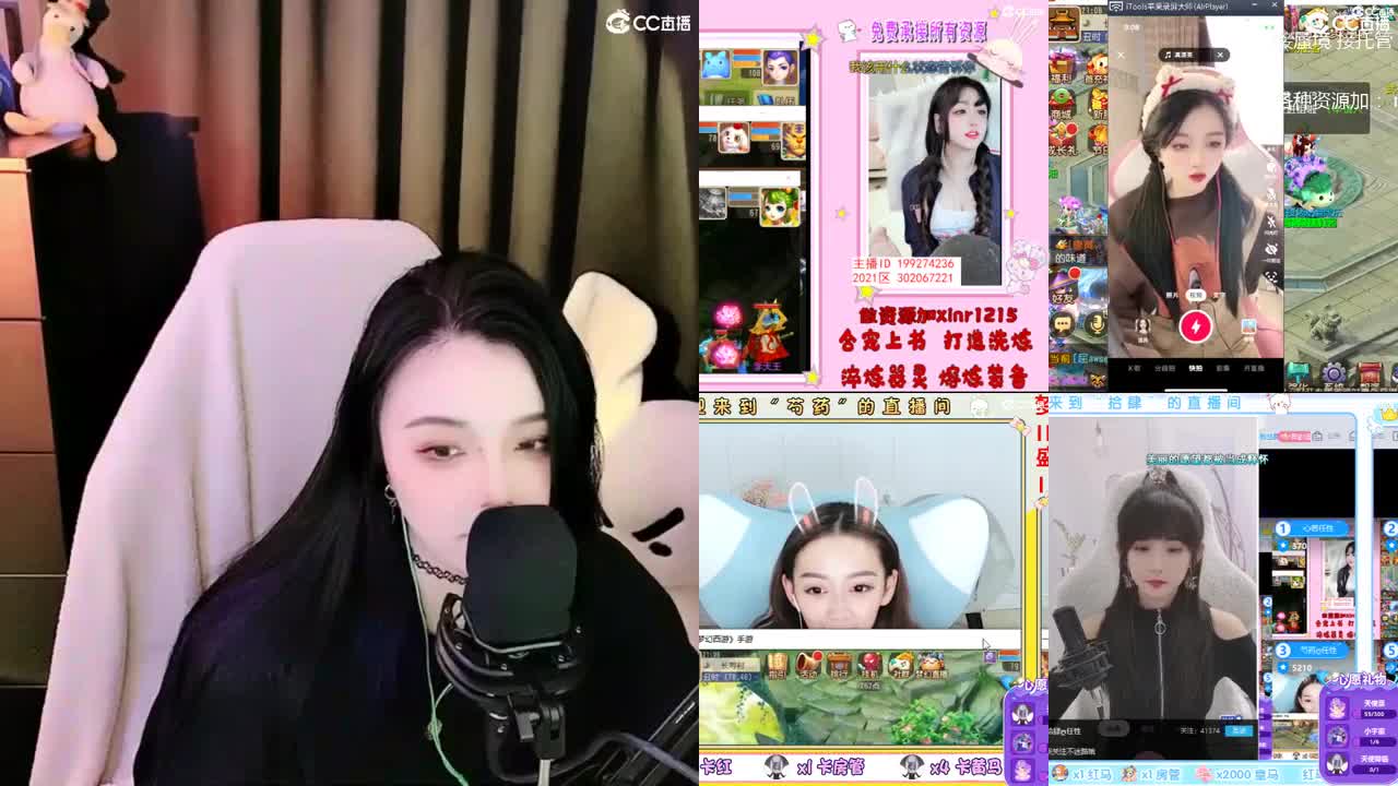 唱歌的勇武菜猪