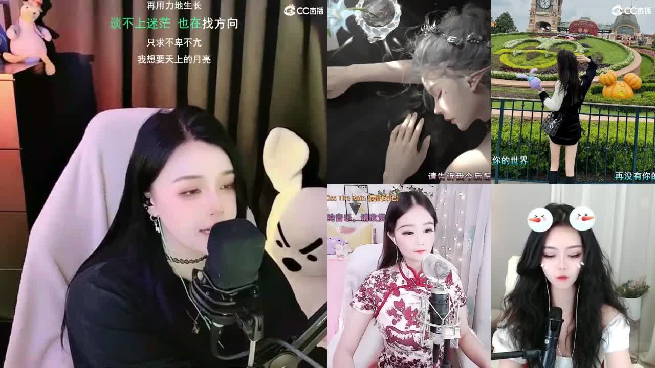唱歌的勇武菜猪 第2段