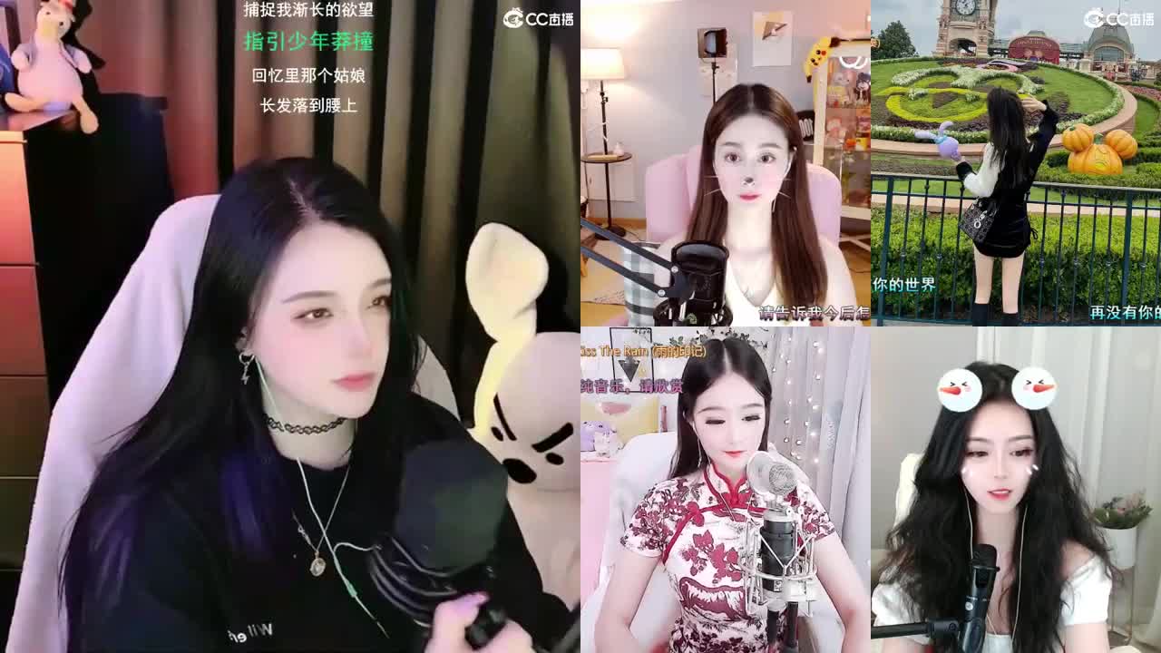 唱歌的勇武菜猪 第2段