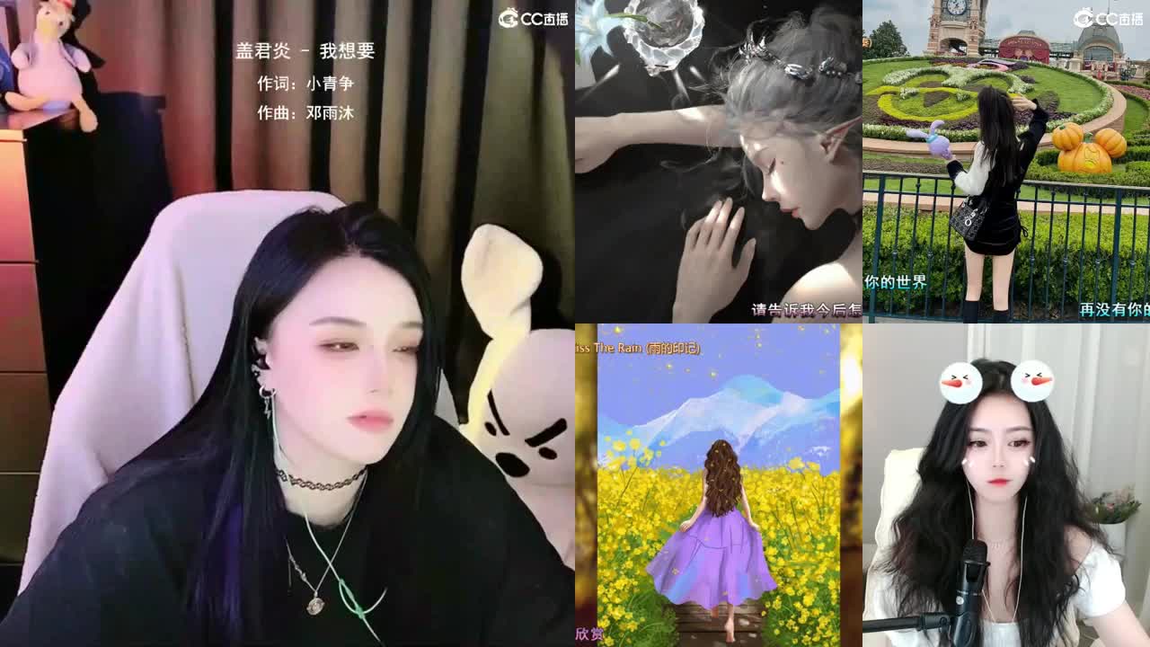 唱歌的勇武菜猪 第2段
