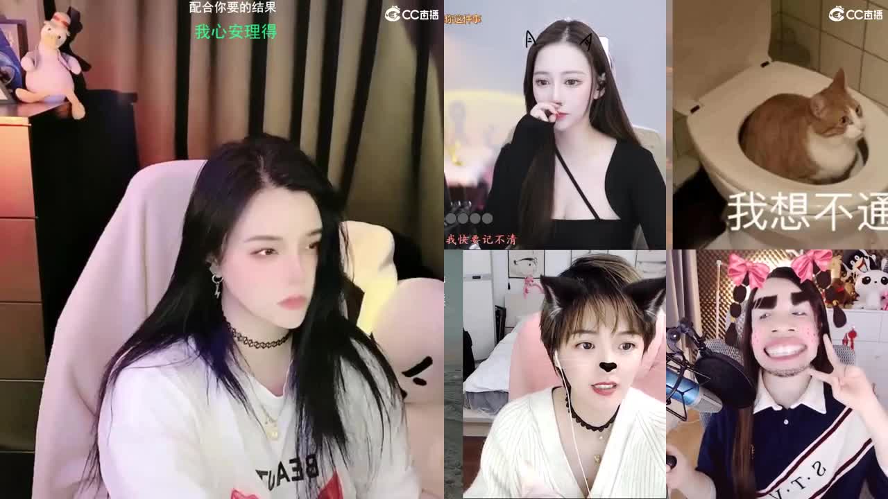 唱歌的勇武菜猪