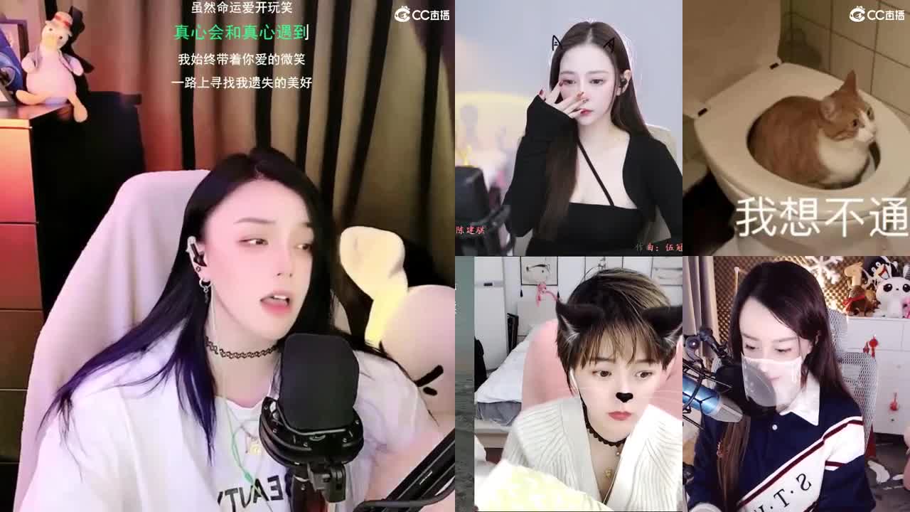 唱歌的勇武菜猪 第1段