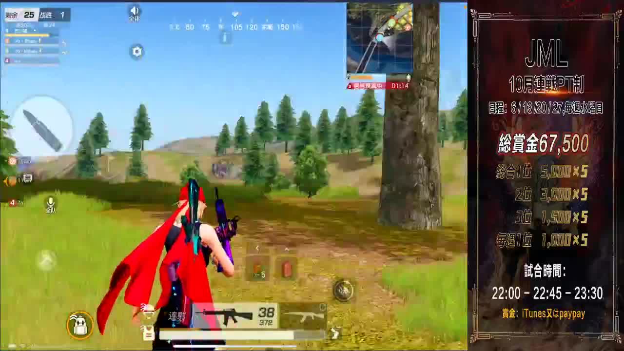 YOLO