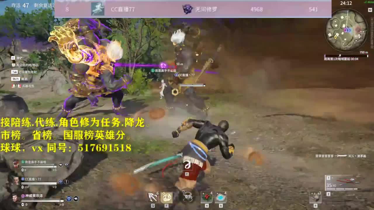 接！陪连，带连，屠龙，修为 第4段