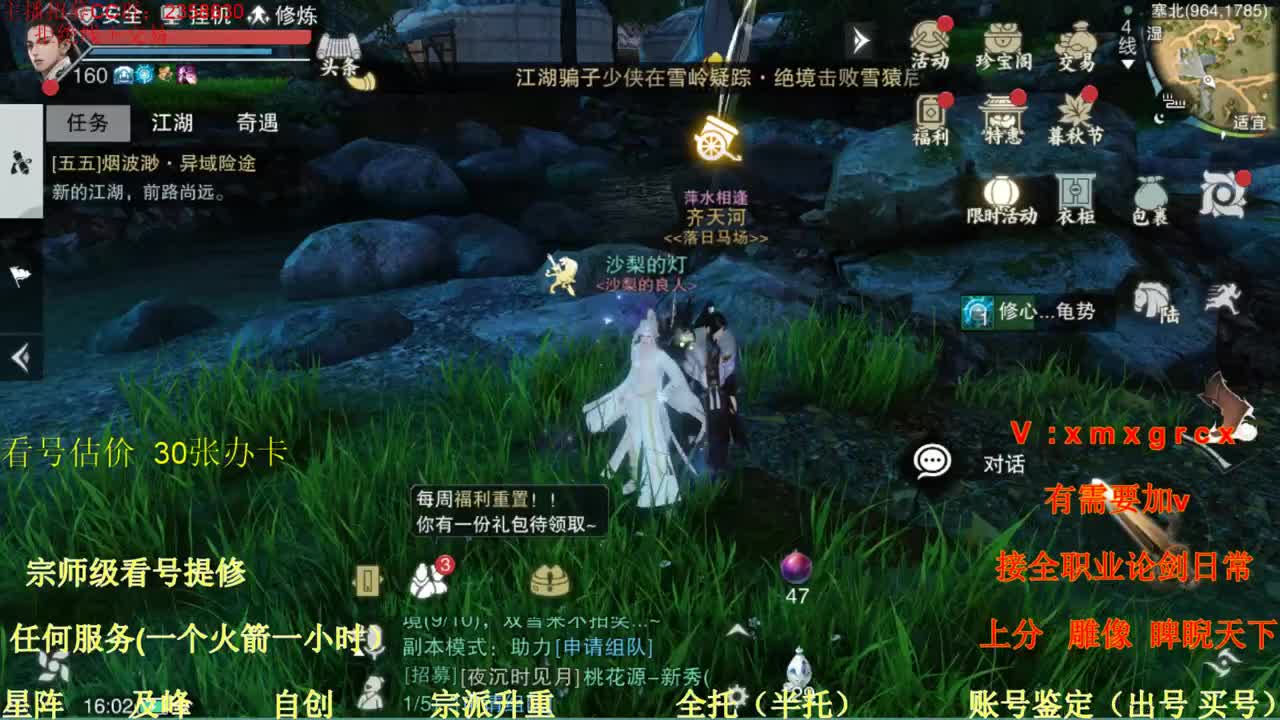 新手导师  看号 提修 账号估价  托管