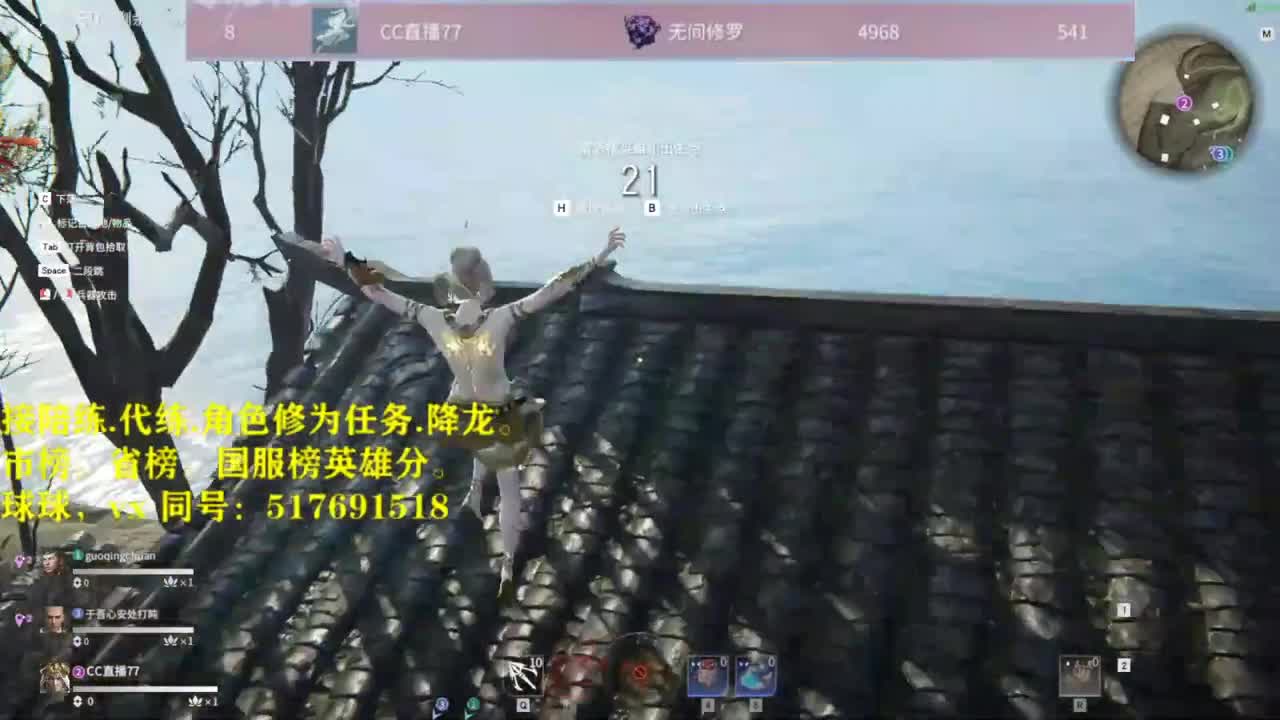 接！陪连，带连，屠龙，修为 第1段