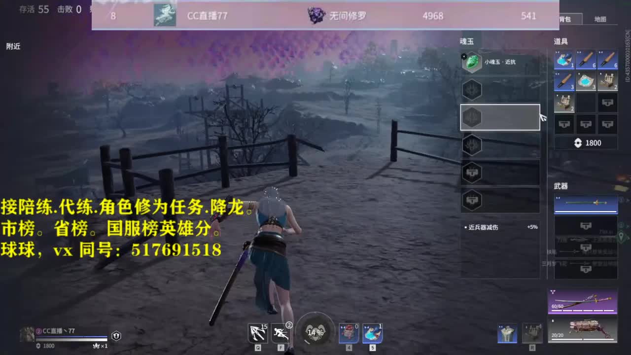 接！陪连，带连，屠龙，修为 第2段