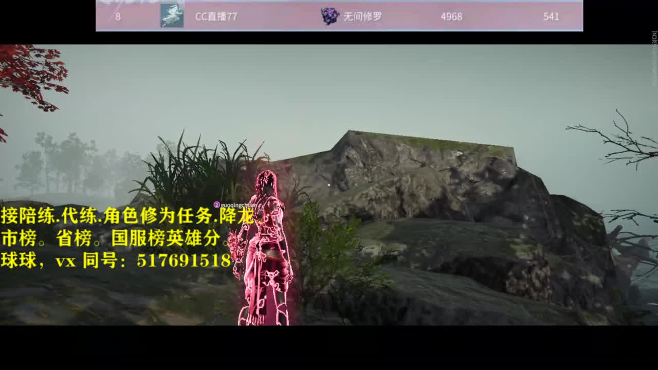 接！陪连，带连，屠龙，修为 第3段